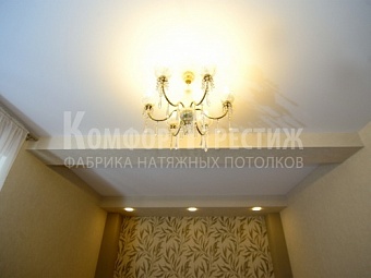 Матовые натяжные потолки в гостиную 21